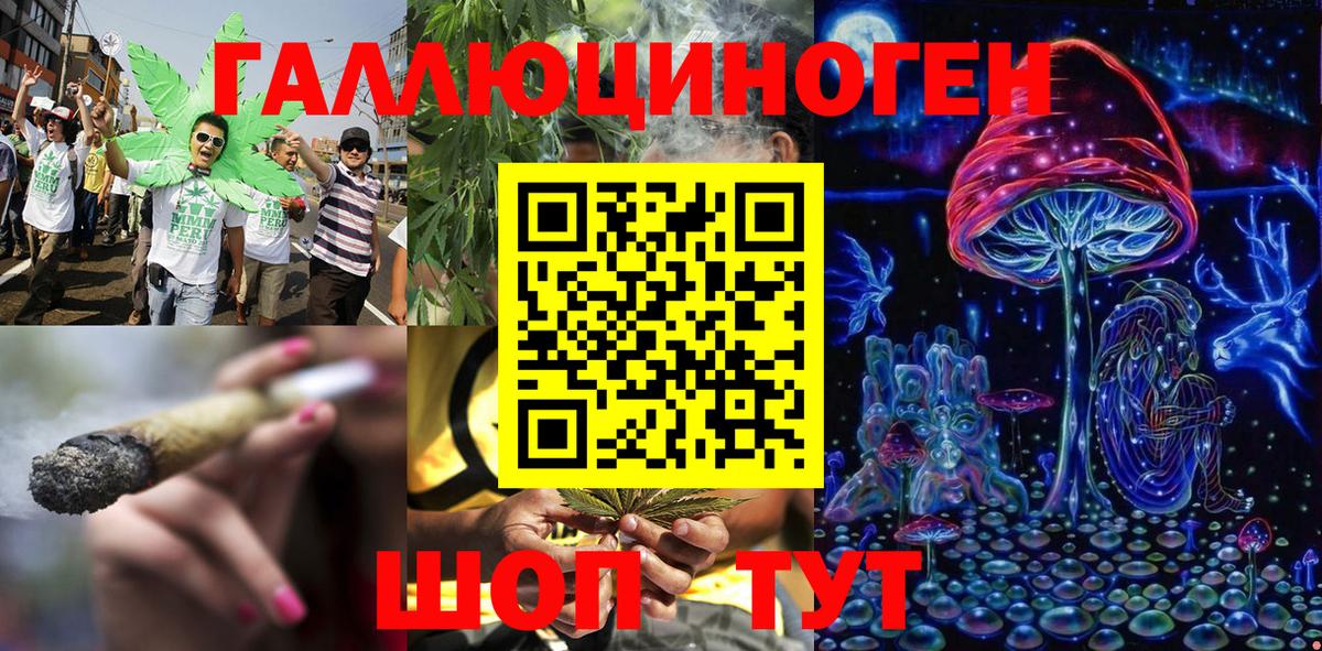 Псилоцибиновые грибы Psilocybe  Псилоцибиновые грибы Cubensis  Миллерово  Вход с VPN 